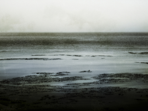 Zielony Ocean
