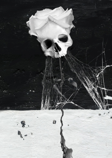 "NOIR ET BLANC - Numéro un"