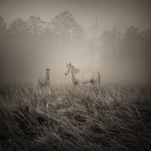 Unspoken silence