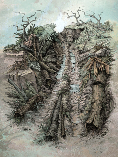 Path 4