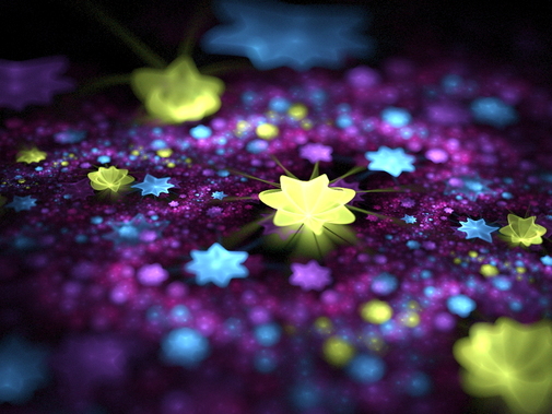Stars